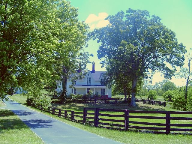 The Marcum Farms farmhouse along a tree-lined country lane in Waco, Kentucky